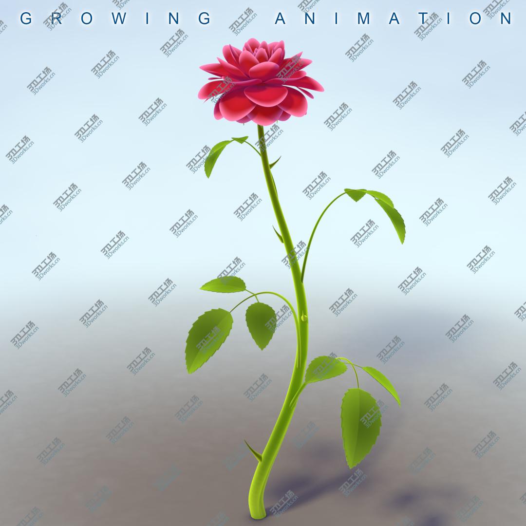 images/goods_img/2021040231/Rose Animated 3D/1.jpg